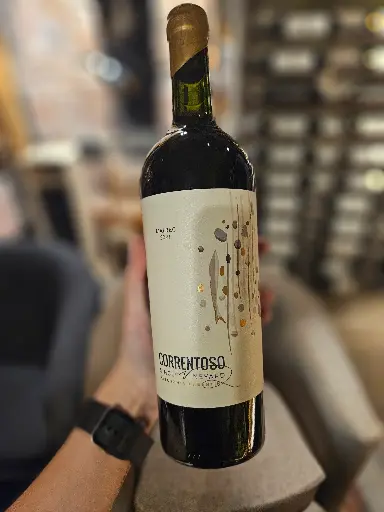 Malbec - Correntoso Single Vineyard 2021
